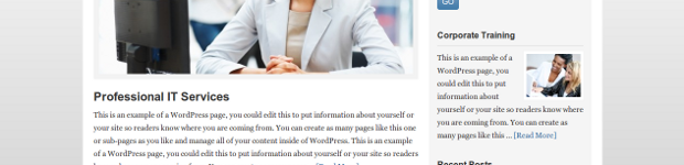 Freelance WordPress Theme - Free Download Genesis Child Theme