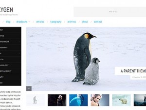 Oxygen Magazine Wordpress Theme