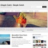 Simple Catch WordPress Theme