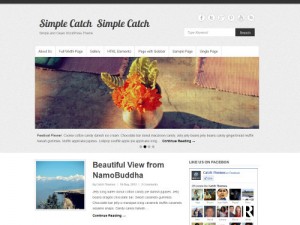 Simple Catch WordPress Theme