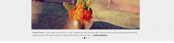 Simple Catch WordPress Theme