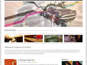 elegant-wp-theme