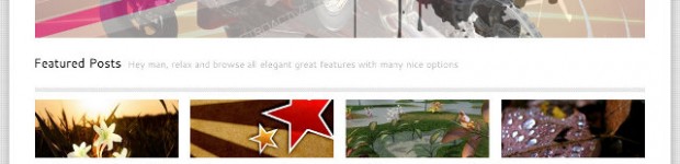 elegant-wp-theme