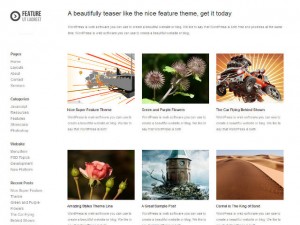 feature-wp-theme