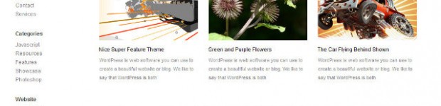 feature-wp-theme