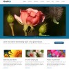 Gabix WordPress theme