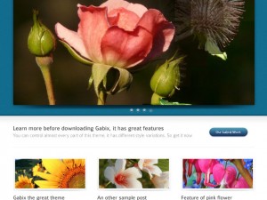Gabix WordPress theme