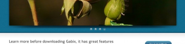 Gabix WordPress theme
