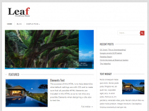 Leaf WordPress Theme - Magazine WordPress theme