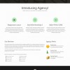 Agency WordPress Theme