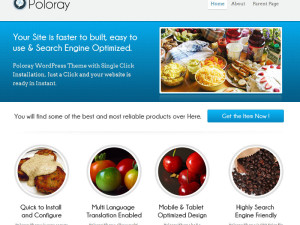 Poloray Wp Theme