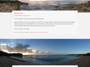 Sidekick WP theme