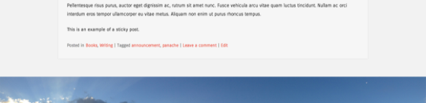 Sidekick WP theme