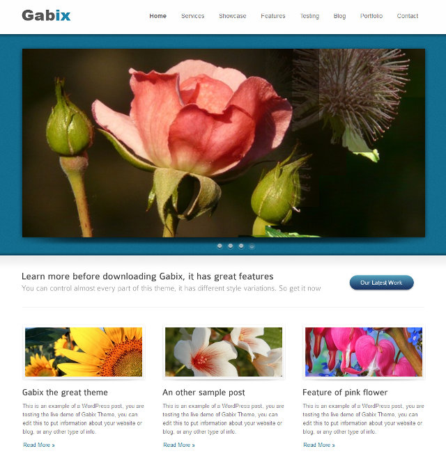 Gabix WordPress theme